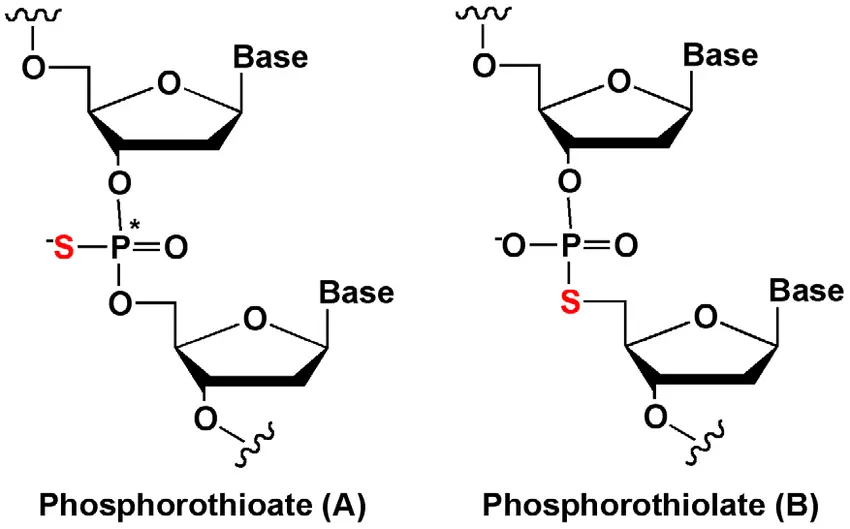 2'-Deoxycytidine-5'-O-monophosphorothioate (5'-dCMPS), Sodium Salt – 5 µmol (~1.6 mg)