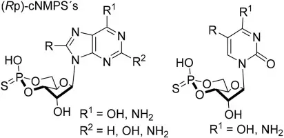 3',5'-Bis-O-(tert-butyldimethylsilyl)thymidine-d3 : 5 mg