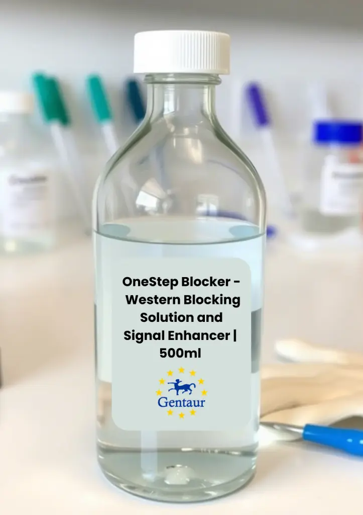 [M0040-B500ML] OneStep Blocker - Soluzione di Blocco Western e Potenziamento del Segnale 