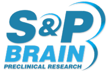 SP Brain PRE-CLINICAL STUDIES